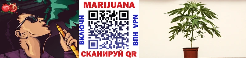 Конопля Bruce Banner Грозный